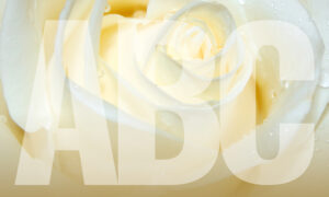 Bestattungen Pfaffinger Mendig Andernach Kell Bestatter ABC