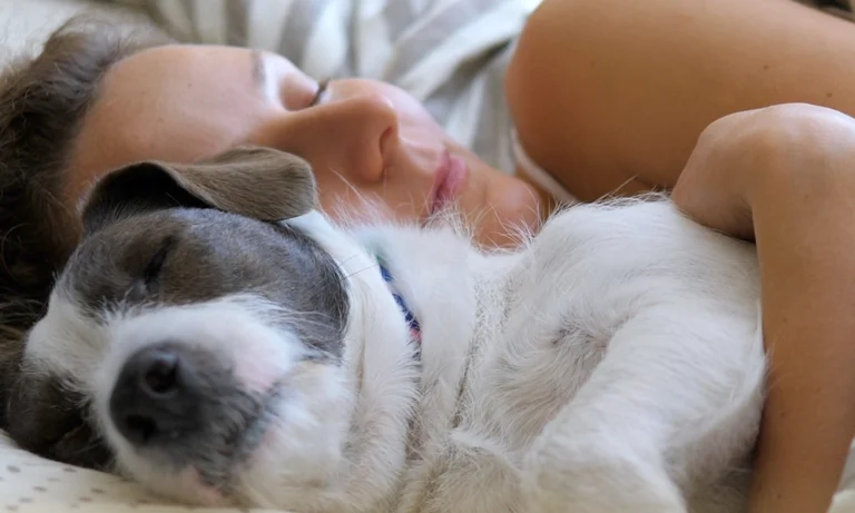 Pfaffinger Bestattungen Mendig Andernach Kell Hund 2
