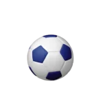 Bestattungen Pfaffinger Mendig Andernach Kell Urne FUSSBALL Urne blau weiss