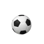 Bestattungen Pfaffinger Mendig Andernach Kell Urne FUSSBALL Urne schwarz weiss